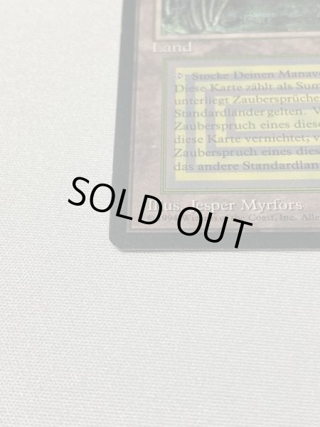 画像5: ドイツ語《Bayou》[3EDBB] SP (5)