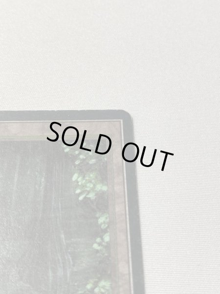 画像3: イタリア語《Bayou》[3EDBB] MP (3)