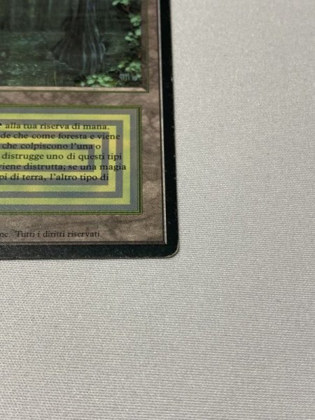 画像4: イタリア語《Bayou》[3EDBB] MP (4)