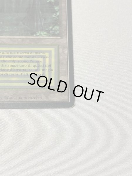 画像4: イタリア語《Bayou》[3EDBB] MP (4)