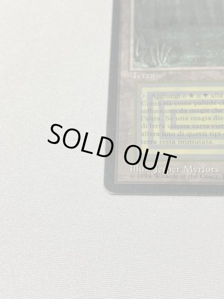 画像5: イタリア語《Bayou》[3EDBB] MP (5)