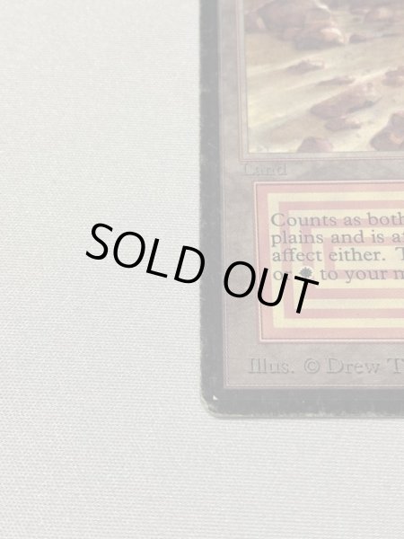 画像5: 《Plateau》[LEB] HP (5)