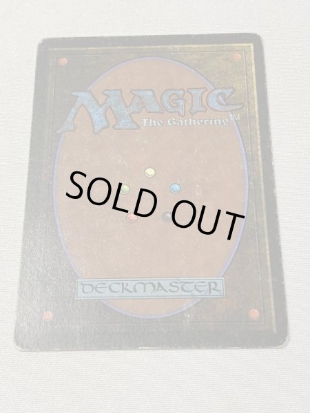 画像6: 《Plateau》[LEB] HP (6)