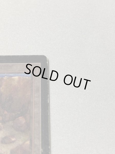 画像3: 《Plateau》[LEB] HP (3)