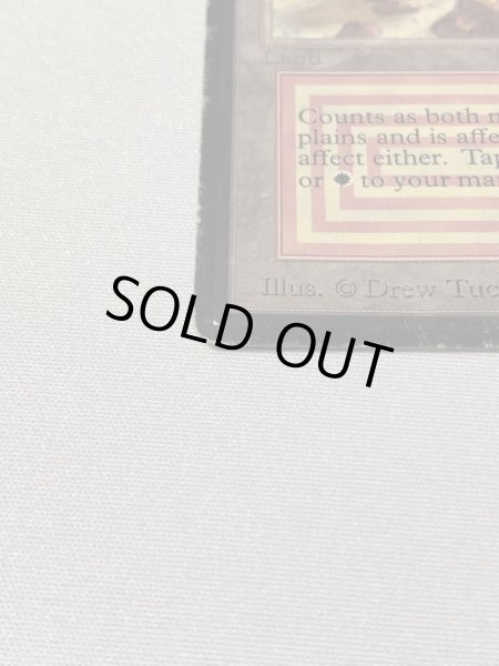 画像5: 《Plateau》[LEB] HP (5)