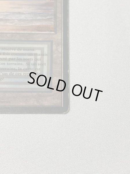 画像4: 《Underground Sea》[3EDBB] HP フランス語 (4)