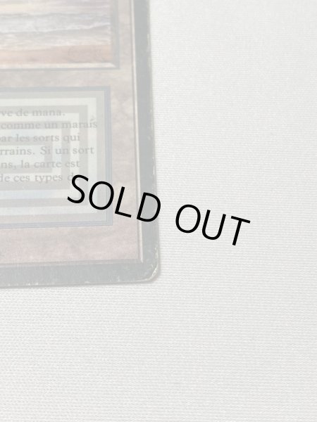 画像4: 《Underground Sea》[3EDBB] HP フランス語 (4)