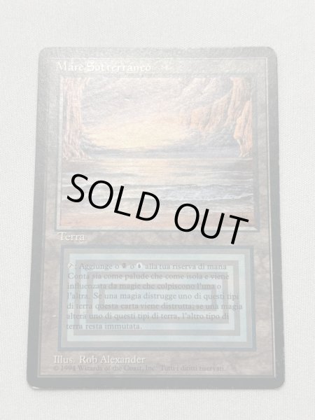 画像1: イタリア語《Underground Sea》[FBB]  HP (1)