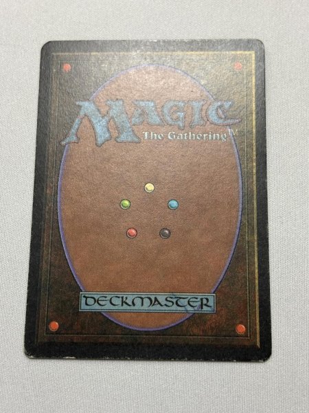 画像7: イタリア語《Underground Sea》[FBB]  HP (7)