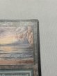 画像3: イタリア語《Underground Sea》[FBB]  HP (3)