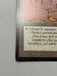 画像4: 《Candelabra of Tawnos》[ATQ] MP (4)