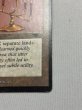 画像5: 《Candelabra of Tawnos》[ATQ] MP (5)