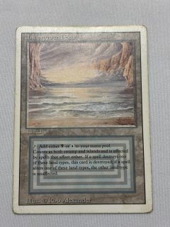 Underground Sea - MTG専門店 Initiative