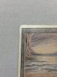 画像2: 《Underground Sea》3ED HP (2)