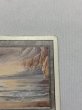 画像3: 《Underground Sea》3ED HP (3)