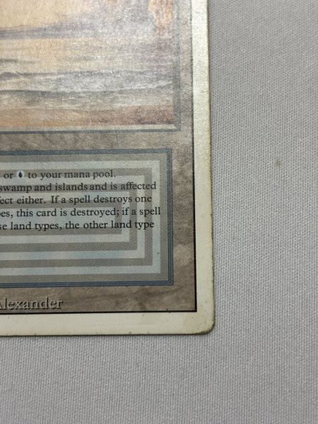 画像5: 《Underground Sea》3ED HP (5)