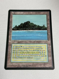 デュアルランド/Dual Land - MTG専門店 Initiative