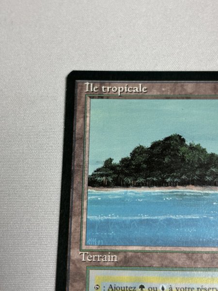 画像2: フランス語《Tropical Island》[FBB] NM (2)