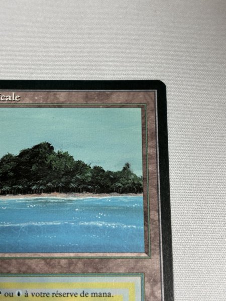 画像3: フランス語《Tropical Island》[FBB] NM (3)