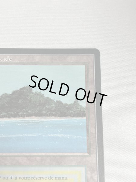 画像3: フランス語《Tropical Island》[FBB] NM (3)