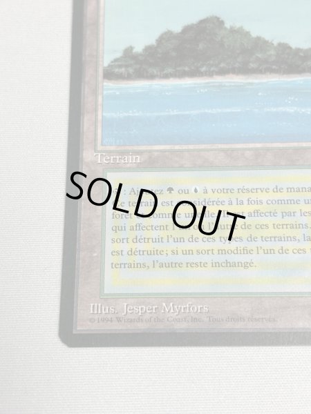 画像4: フランス語《Tropical Island》[FBB] NM (4)