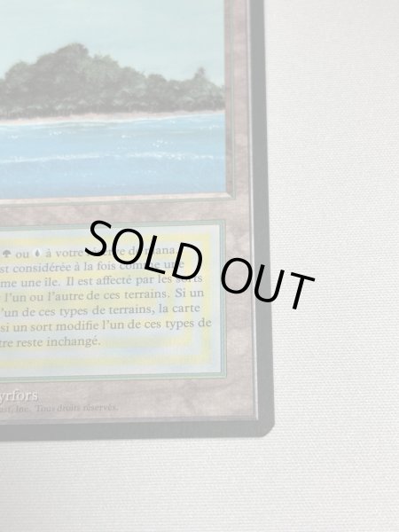 画像5: フランス語《Tropical Island》[FBB] NM (5)