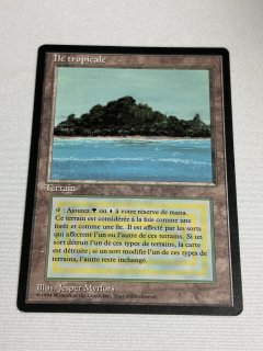 Tropical Island - MTG専門店 Initiative