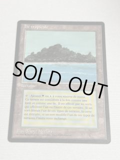 Tropical Island - MTG専門店 Initiative