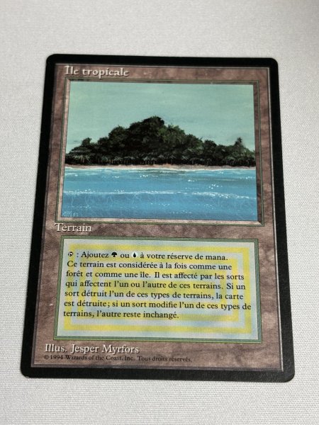 画像1: フランス語《Tropical Island》[FBB] SP (1)