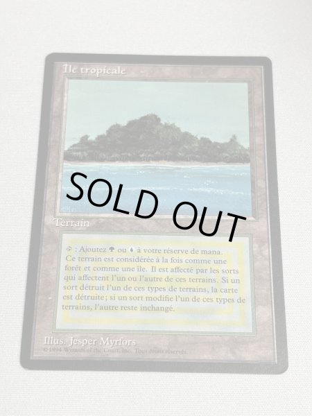 画像1: フランス語《Tropical Island》[FBB] SP (1)