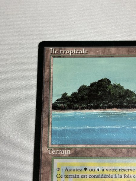 画像2: フランス語《Tropical Island》[FBB] SP (2)