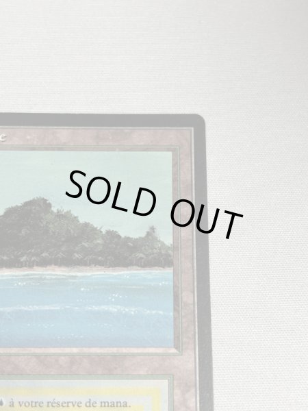 画像3: フランス語《Tropical Island》[FBB] SP (3)