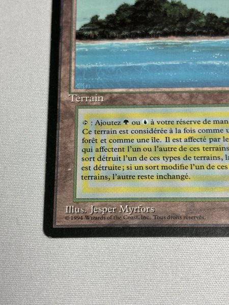 画像4: フランス語《Tropical Island》[FBB] SP (4)