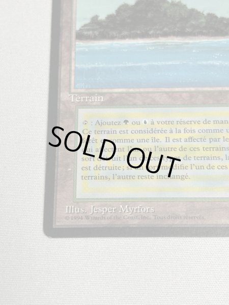 画像4: フランス語《Tropical Island》[FBB] SP (4)