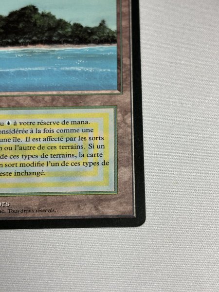 画像5: フランス語《Tropical Island》[FBB] SP (5)