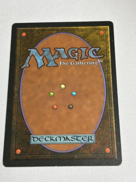 画像6: フランス語《Tropical Island》[FBB] SP (6)