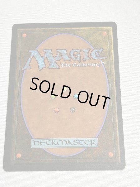 画像6: フランス語《Tropical Island》[FBB] SP (6)