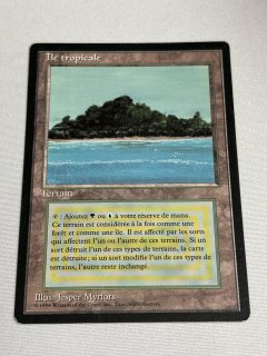 Tropical Island - MTG専門店 Initiative