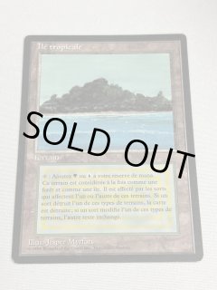 フランス語《Tropical Island》[FBB] SP - MTG専門店 Initiative