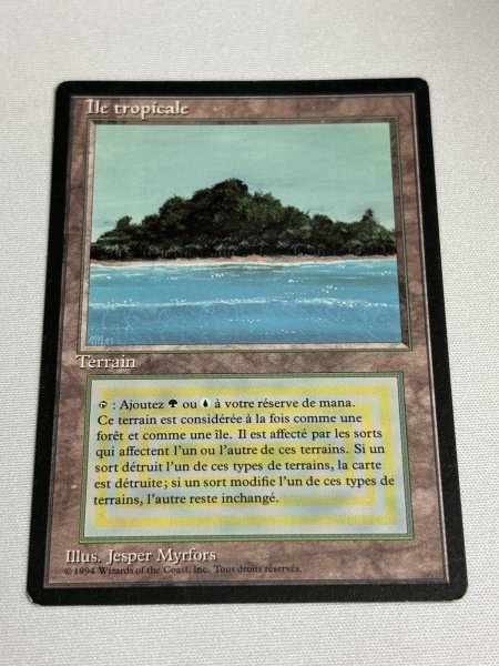 画像1: フランス語《Tropical Island》[FBB] SP (1)