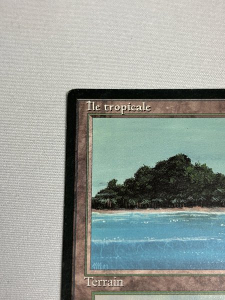 画像2: フランス語《Tropical Island》[FBB] SP (2)