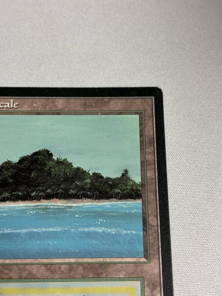 画像3: フランス語《Tropical Island》[FBB] SP (3)