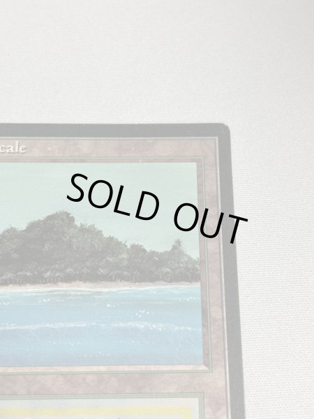 画像3: フランス語《Tropical Island》[FBB] SP (3)