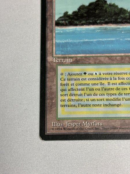 画像4: フランス語《Tropical Island》[FBB] SP (4)