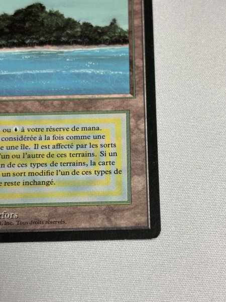 画像5: フランス語《Tropical Island》[FBB] SP (5)