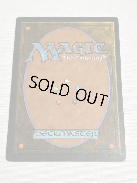 画像6: フランス語《Tropical Island》[FBB] SP (6)