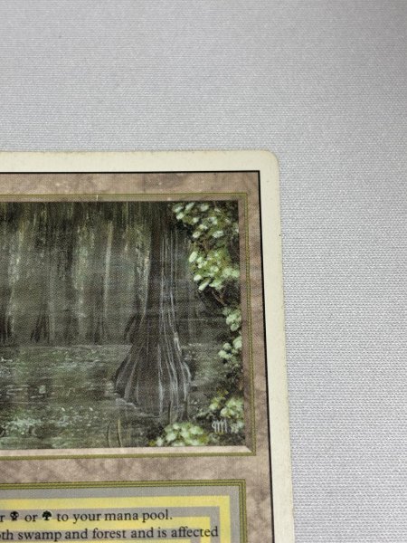 画像3: 《Bayou》[3ED] SP (3)