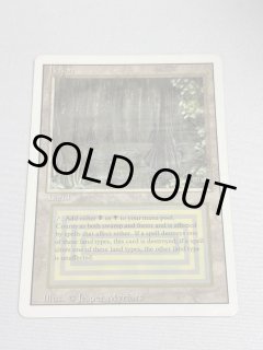 Bayou - MTG専門店 Initiative