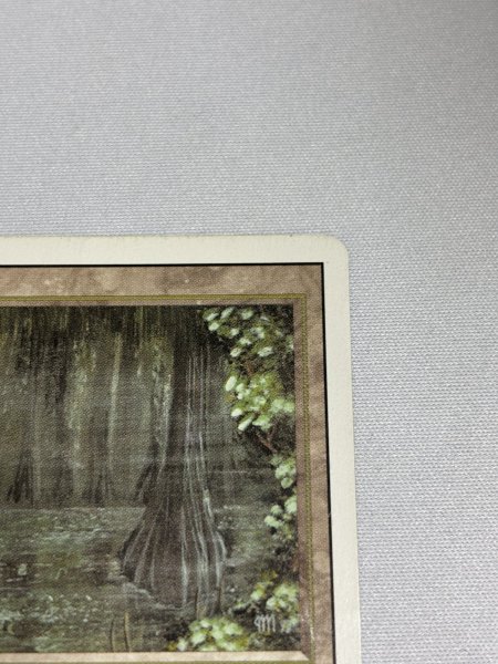 画像3: 《Bayou》[3ED] MP (3)