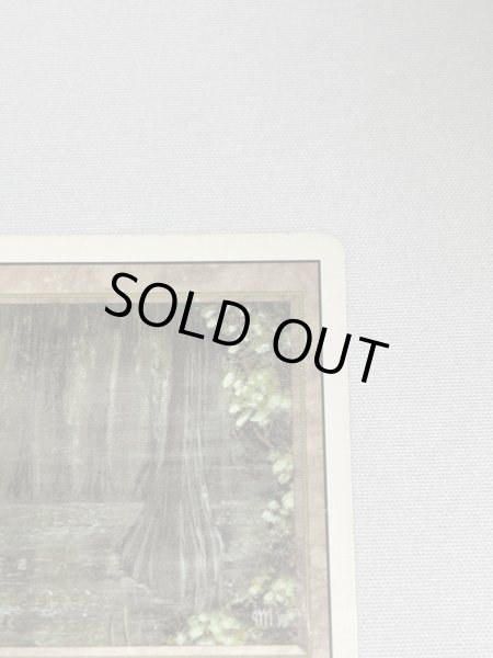 画像3: 《Bayou》[3ED] MP (3)